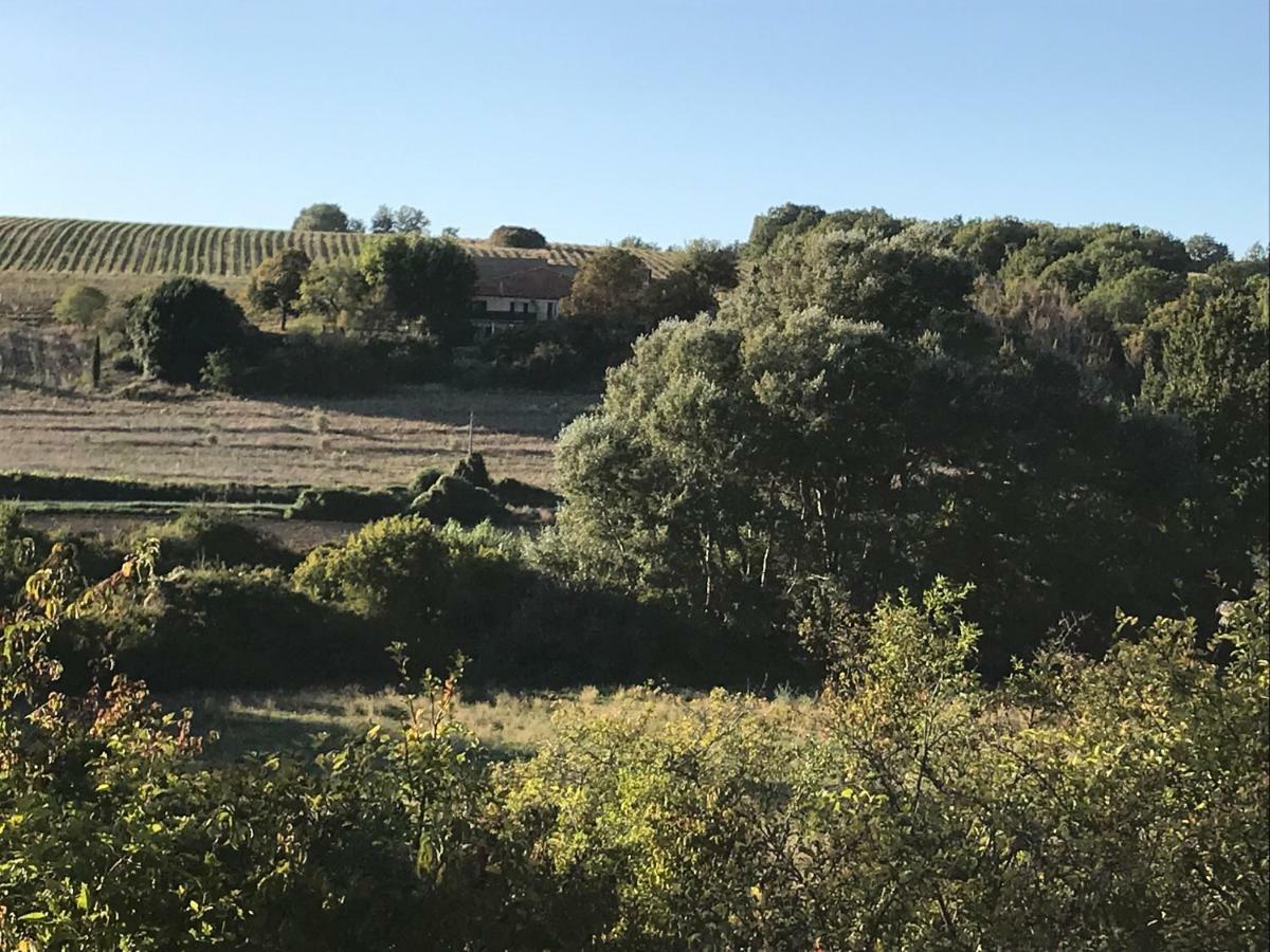 Domaine Le Commandaire Roumoules Luaran gambar