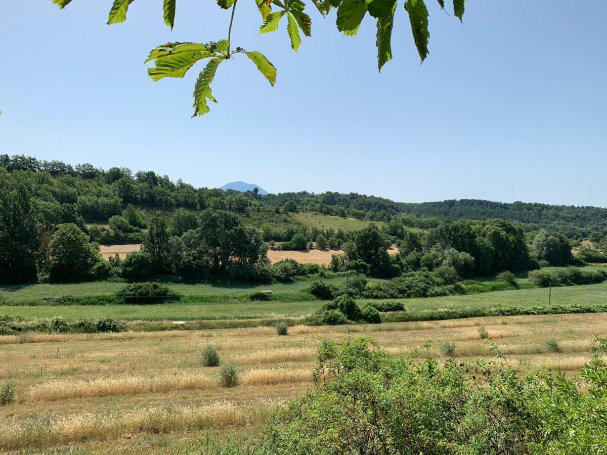 Domaine Le Commandaire Roumoules Luaran gambar